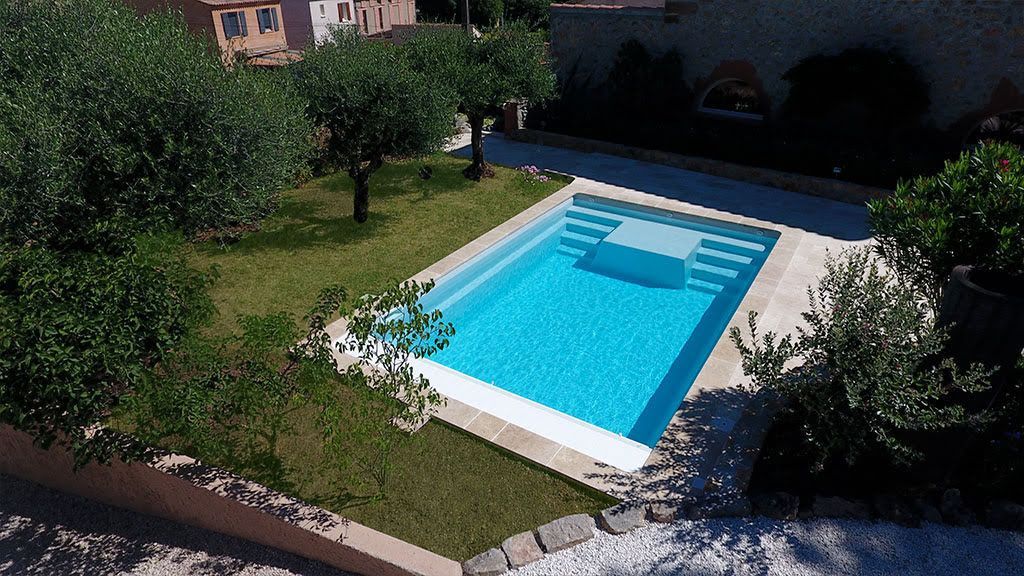 Une piscine avec de la végétation et une maison