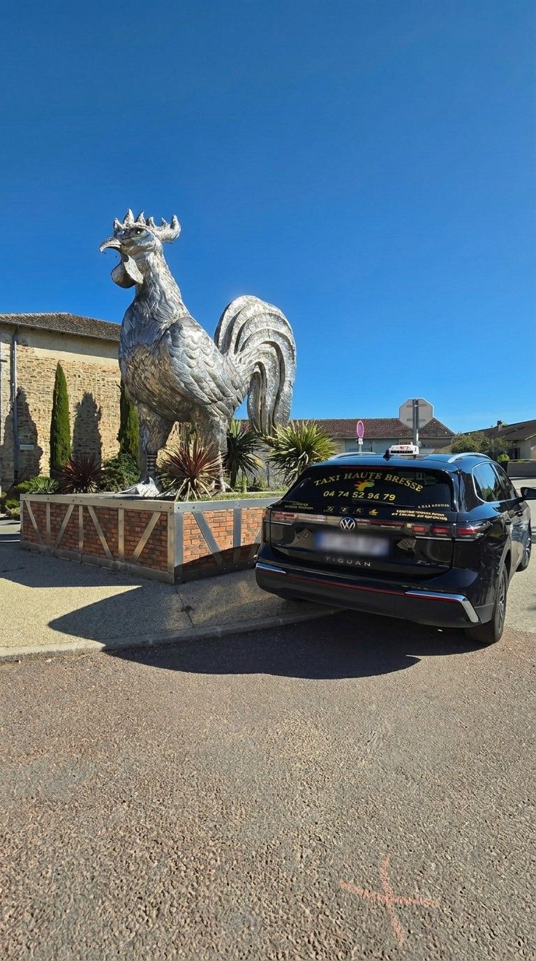 Voiture noire garée à côté d'une grande statue de coq argentée sous un ciel bleu clair.