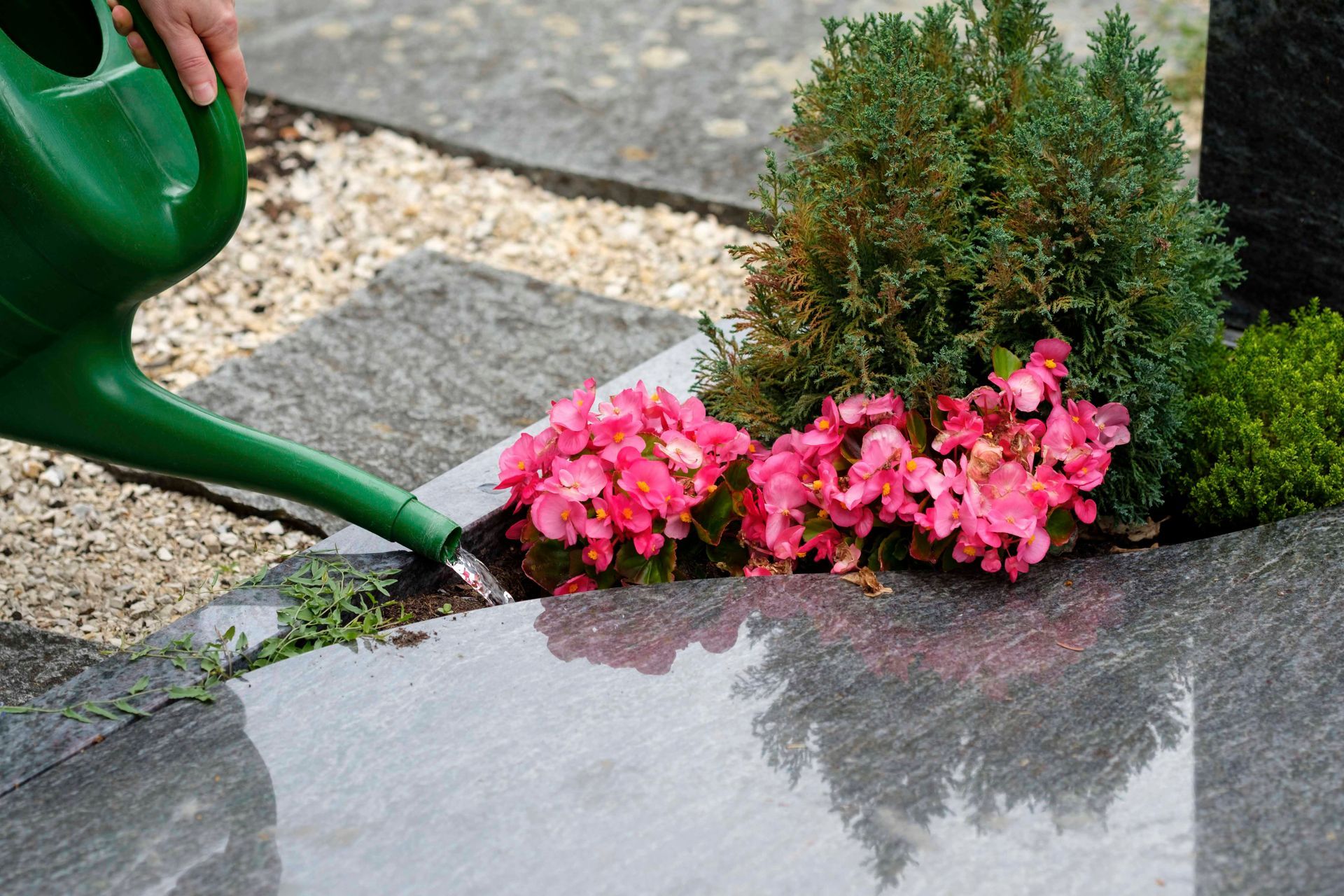 Eine Person gießt mit einer grünen Gießkanne Blumen auf einem Grab.
