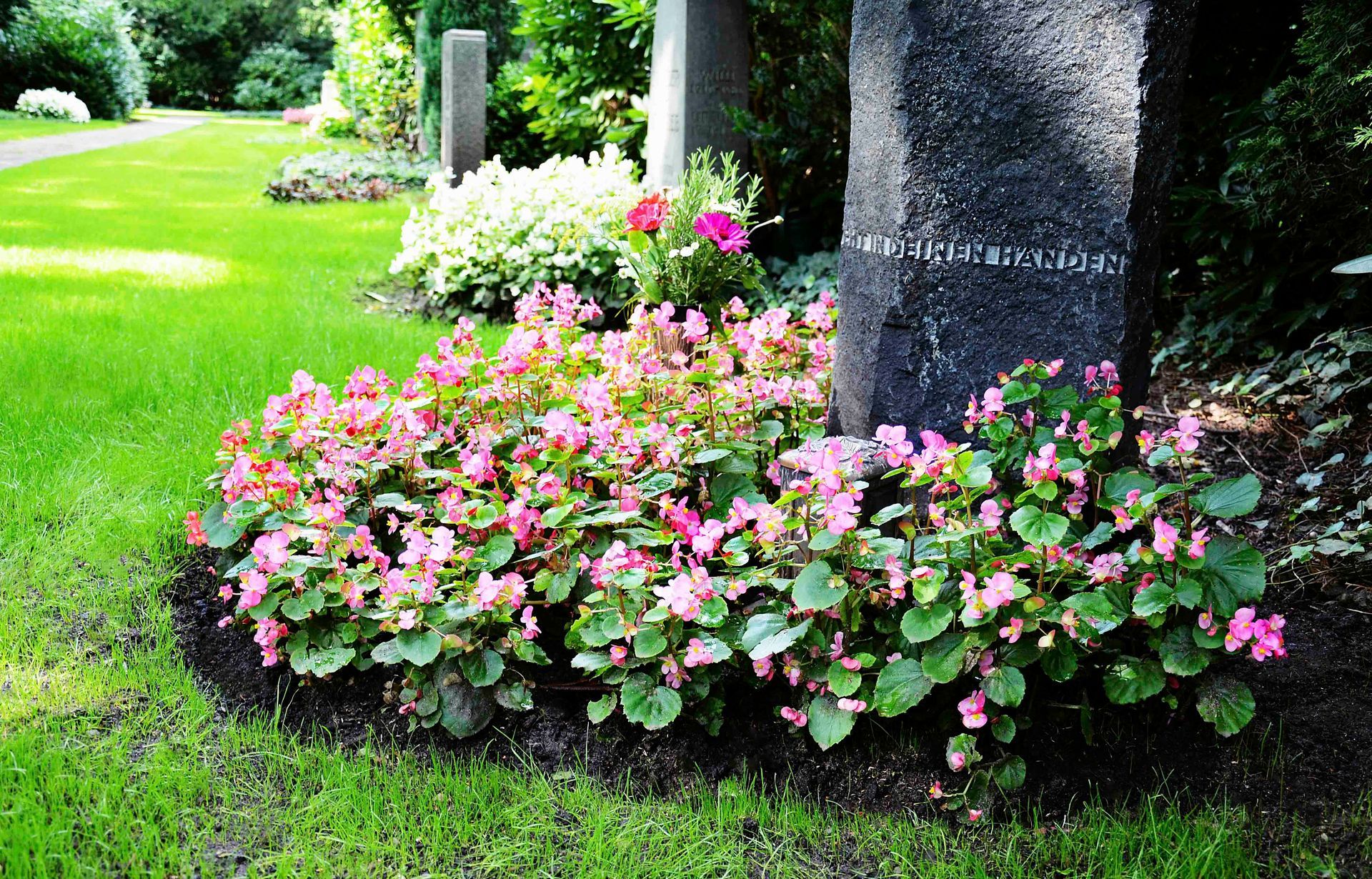 ein Grab mit rosa Blumen davor