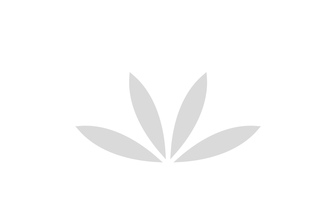 eine graue Blume mit drei Blättern auf weißem Hintergrund