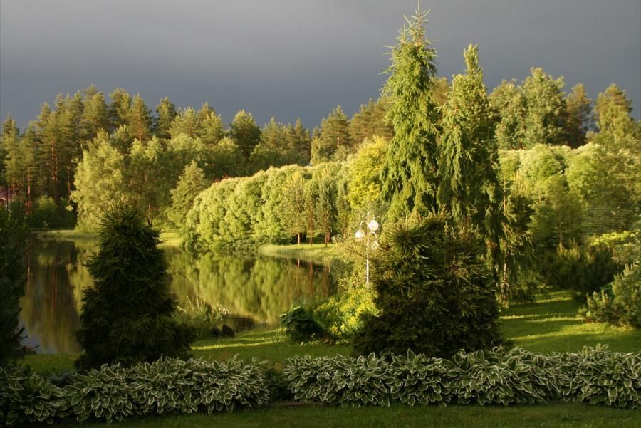 Lehmon Puutarhatila Oy