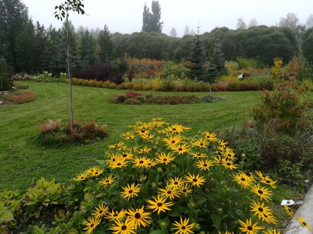 Lehmon Puutarhatila Oy