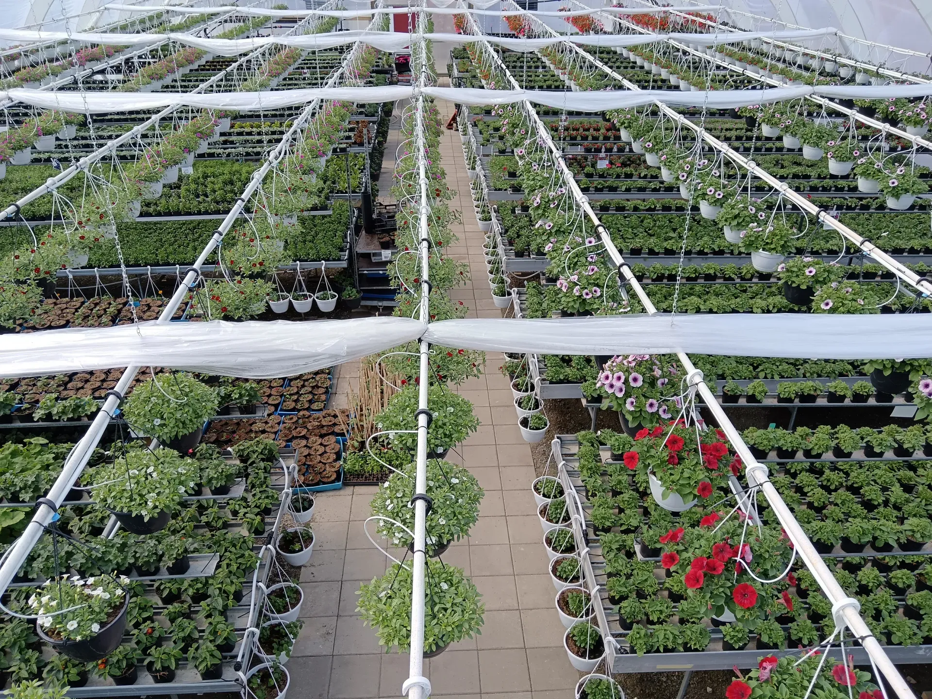 Lehmon Puutarhatila Oy