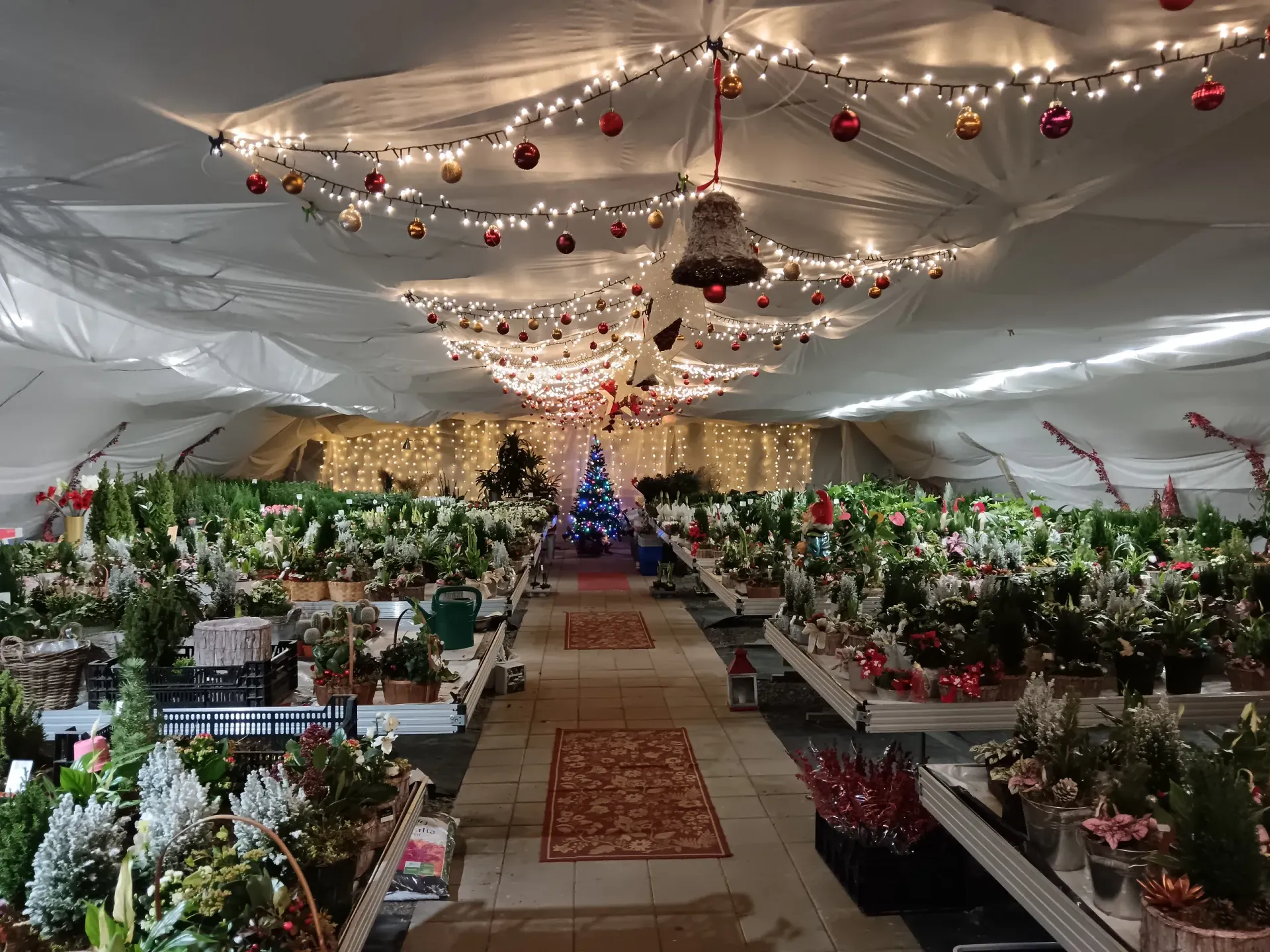 Lehmon Puutarhatila Oy