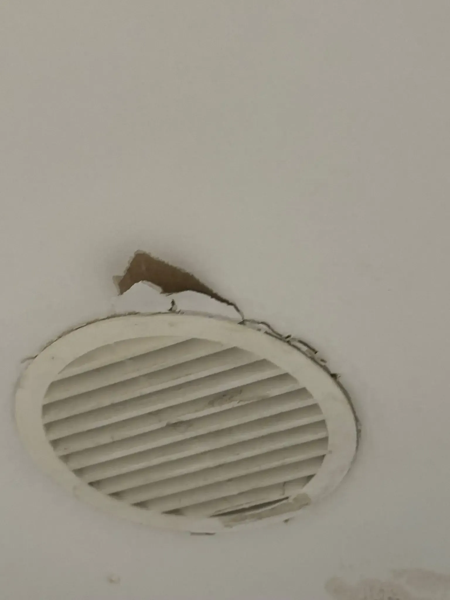 EnSanur Gestiones ofrecemos servicios de pintura interior y pequeñas reparaciones, ideales para viviendas y locales que necesitan mejoras rápidas y bien ejecutadas. Ayudamos a personas que requieren apoyo con tareas domésticas que exigen experiencia, herramientas adecuadas y un acabado profesional, evitando trabajos mal hechos o soluciones provisionales.