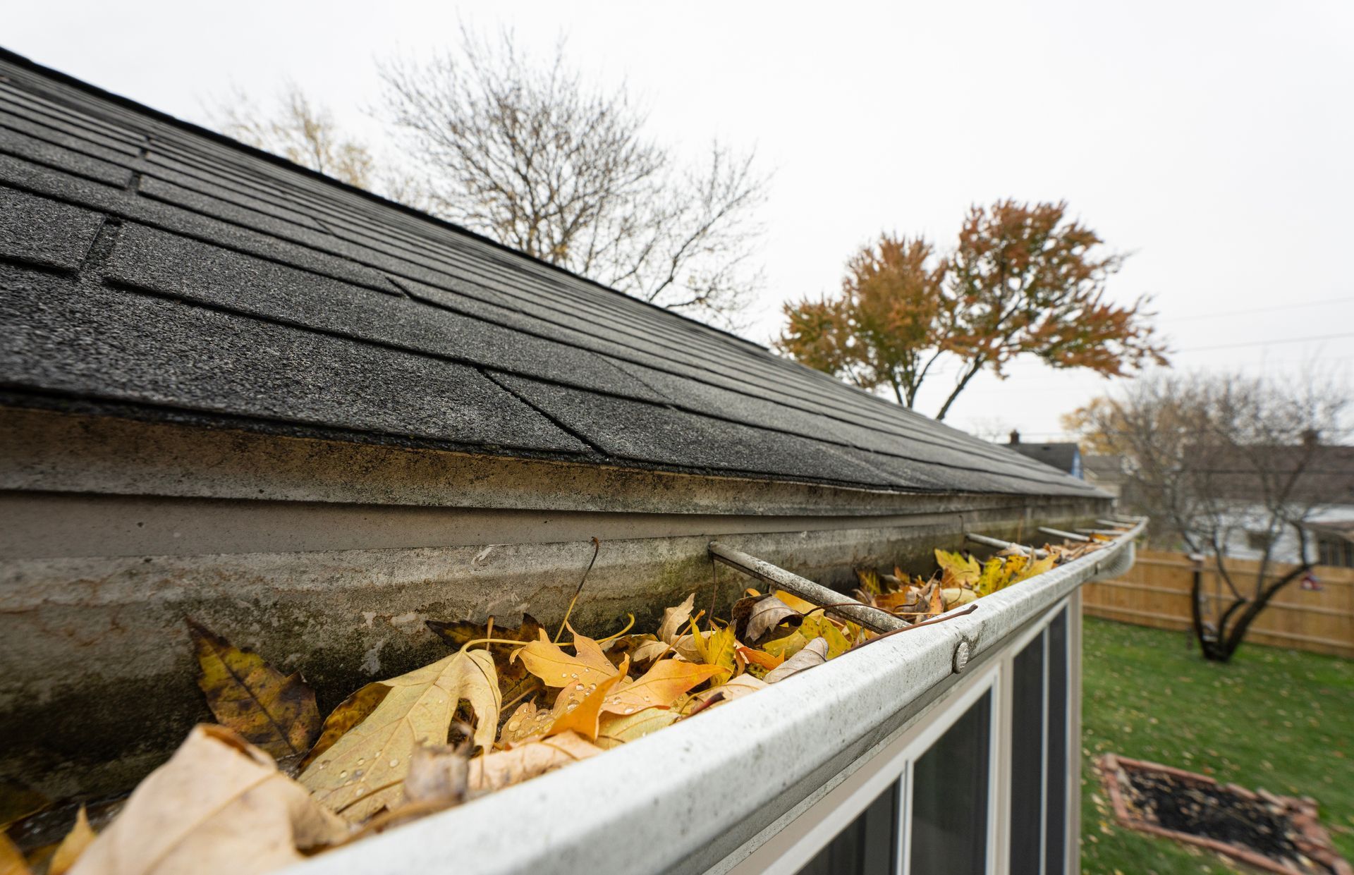 Gouttière obstruée par des feuilles sur le toit d'une maison, vue depuis l'avant-toit.