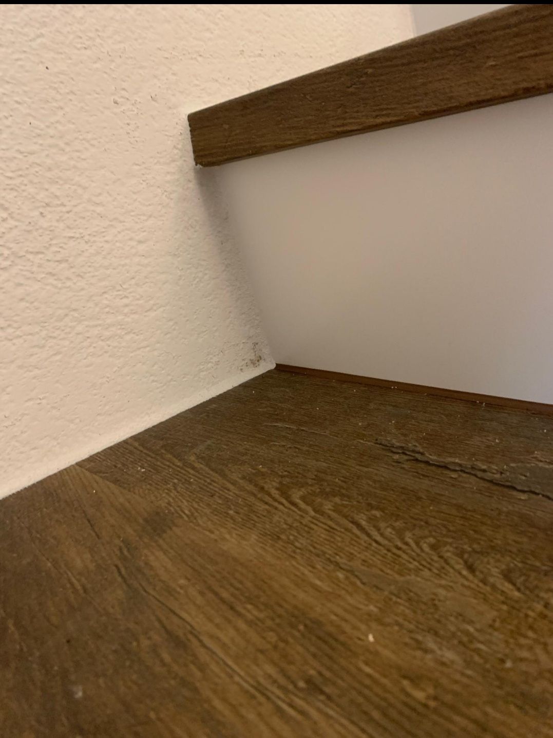 Pieroni Parkett & Bodenbeläge GmbH