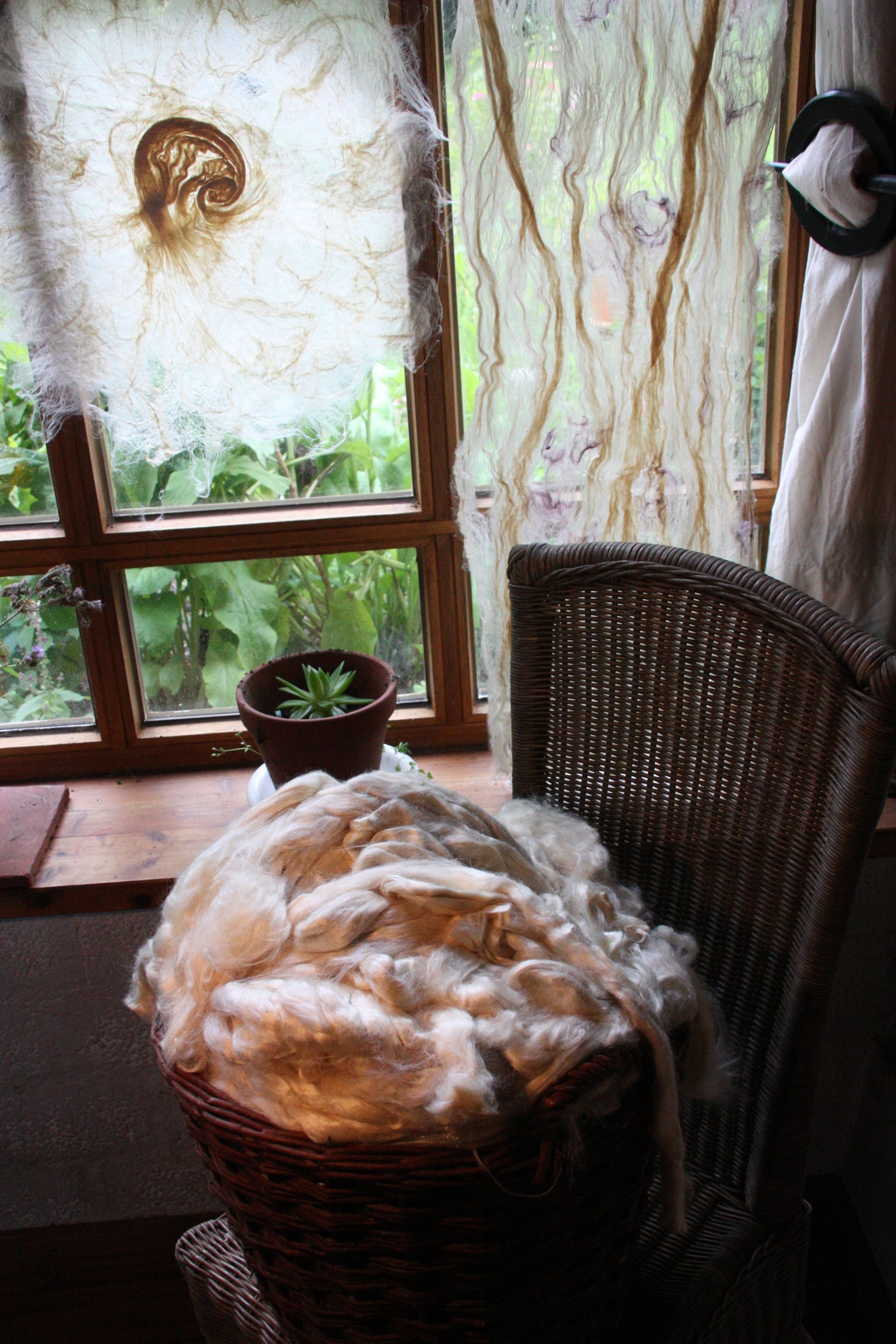 Maulbeerseidenfäden
