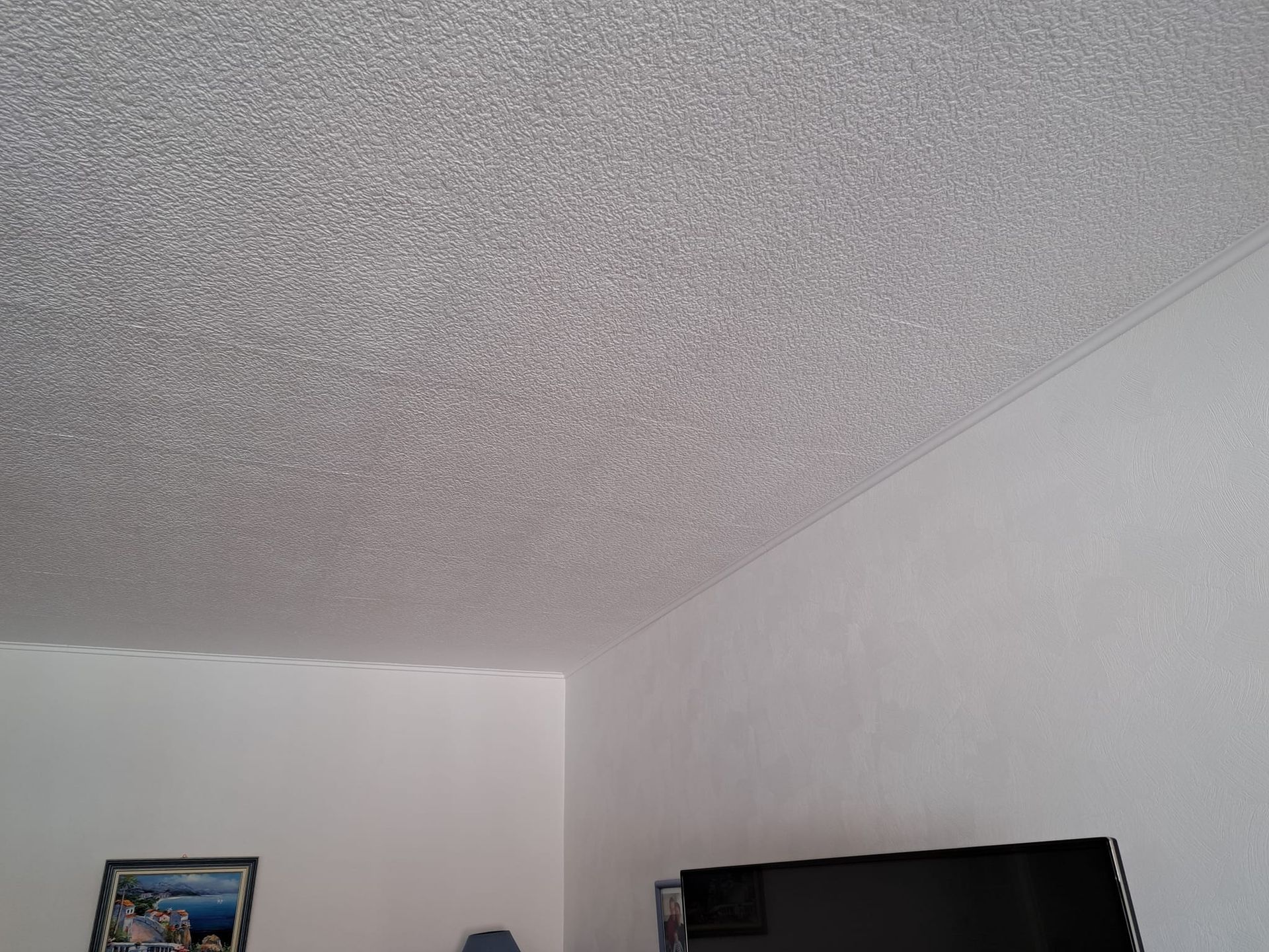 Pose de plafond