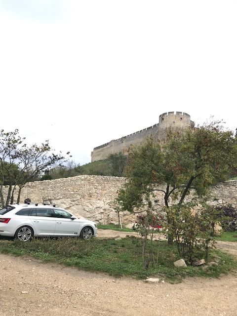 Taxi Gare TGV Avignon - Fort Saint-André– Thierry Perfetti