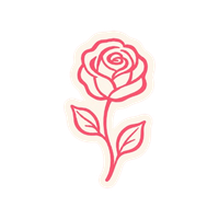 Rose rose à contours avec deux feuilles sur fond blanc