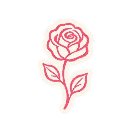 Rose rose dessinée au trait avec deux feuilles sur fond blanc