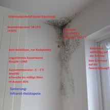 Schimmelbefall
