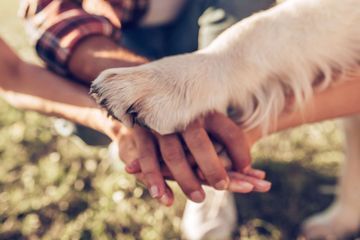 Tiergestützte Therapie