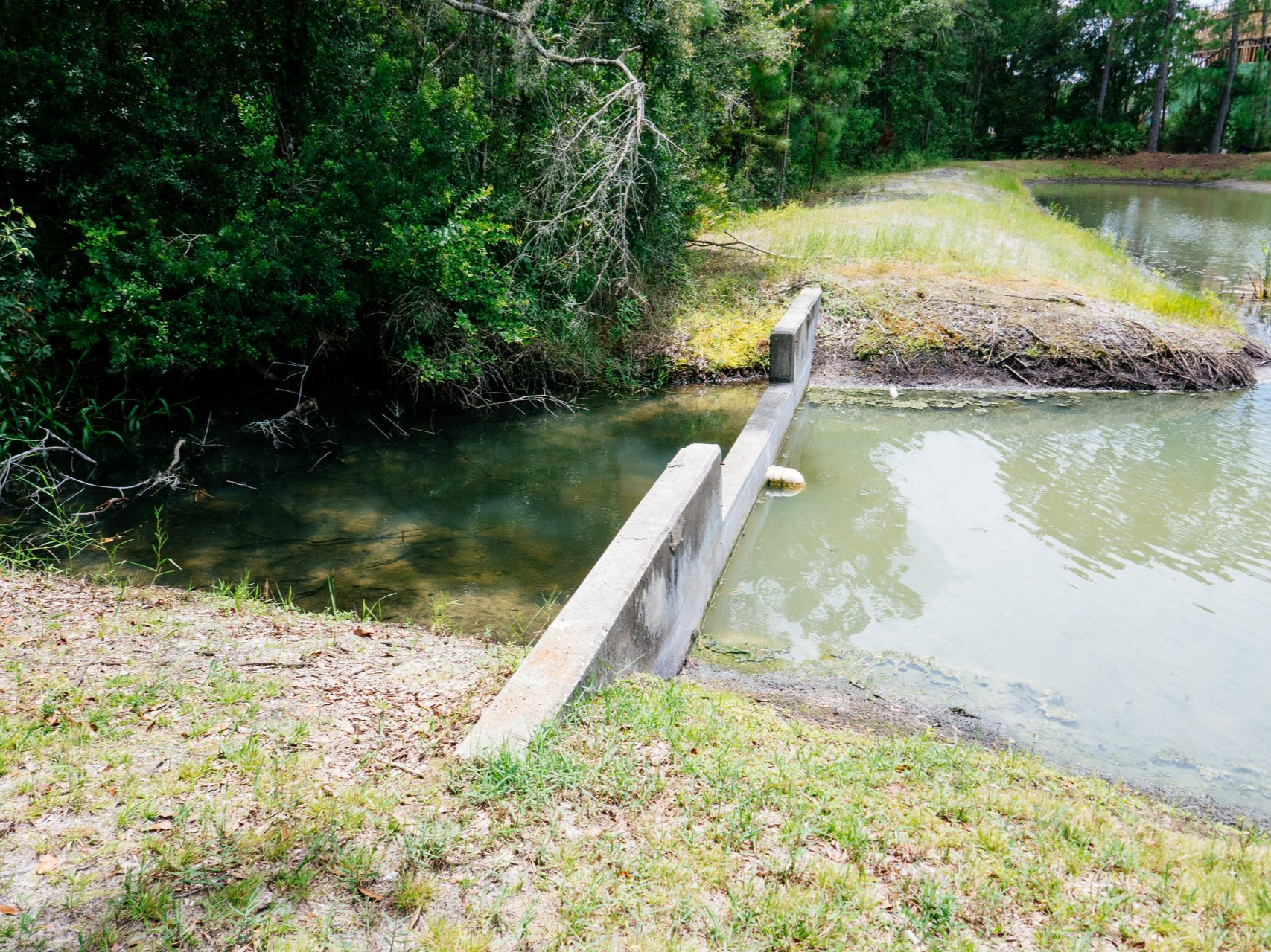 Barrage en béton séparant deux plans d'eau, entouré de berges herbeuses et d'arbres.