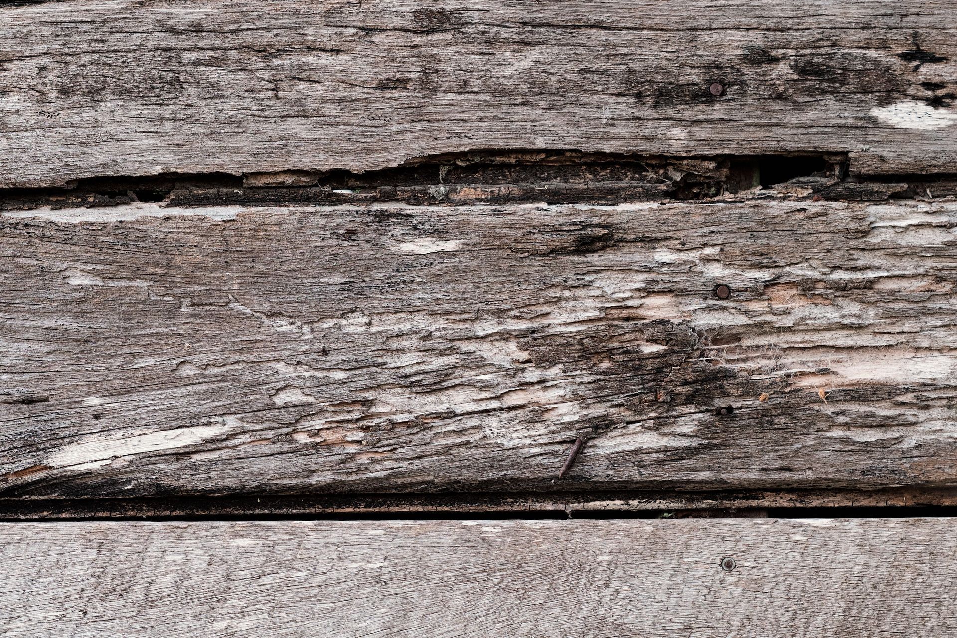 Planches de bois gris vieilli, à la texture rugueuse et craquelée