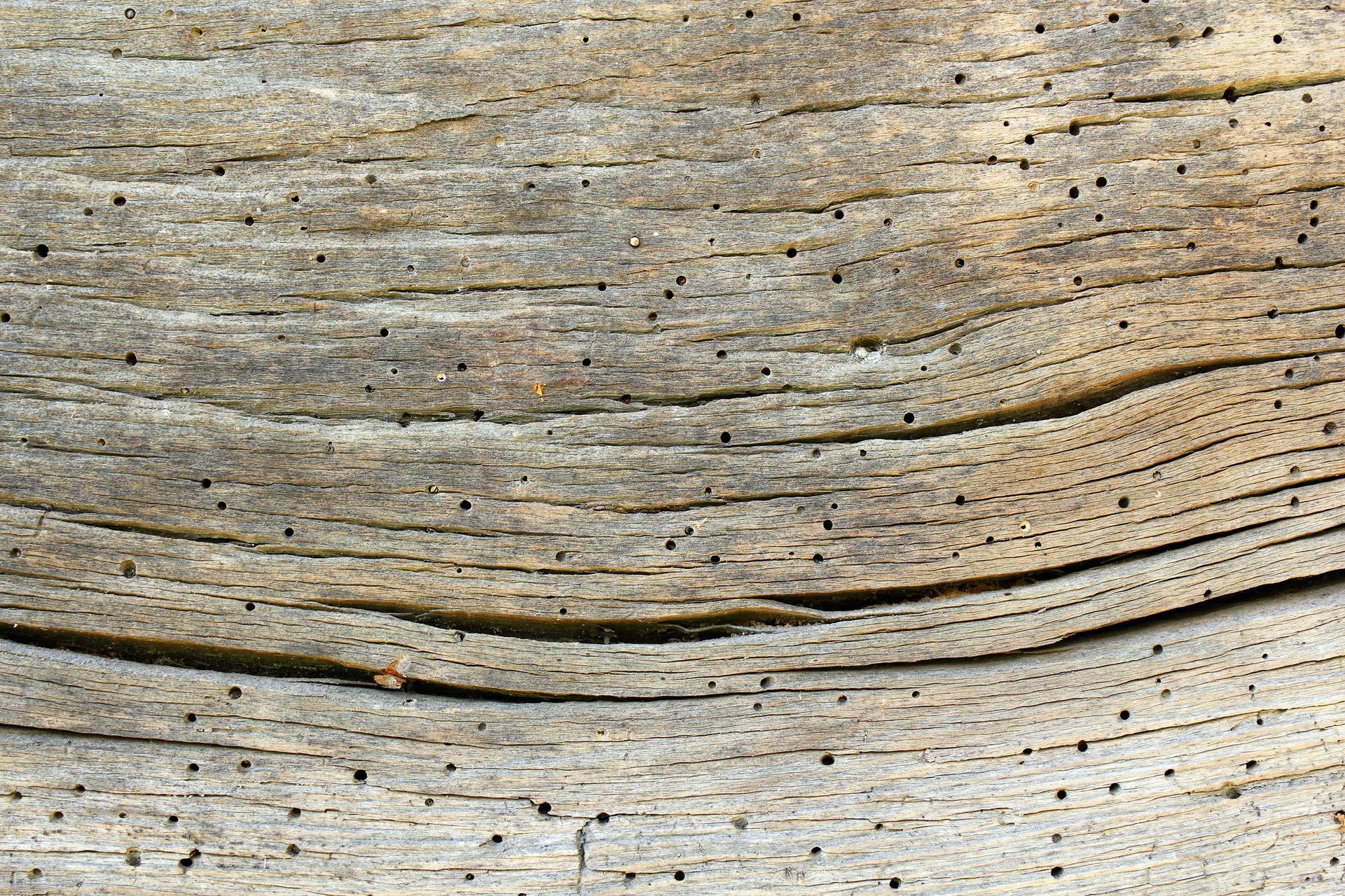 Gros plan sur le grain d'un bois gris vieilli, présentant des fissures et une texture sombres et ondulées.