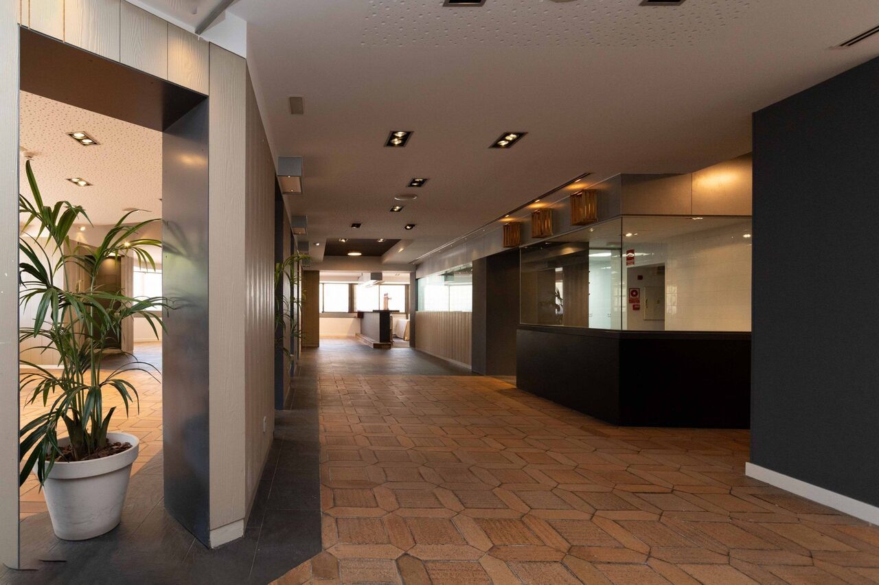 Un pasillo largo con una planta en el medio.