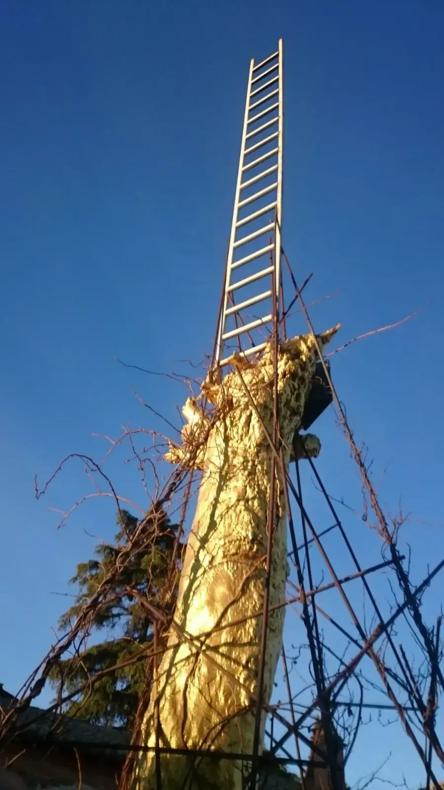 Una columna alta y dorada con una escalera que se eleva hacia un cielo azul claro. Ramas y enredaderas crecen alrededor de la base.