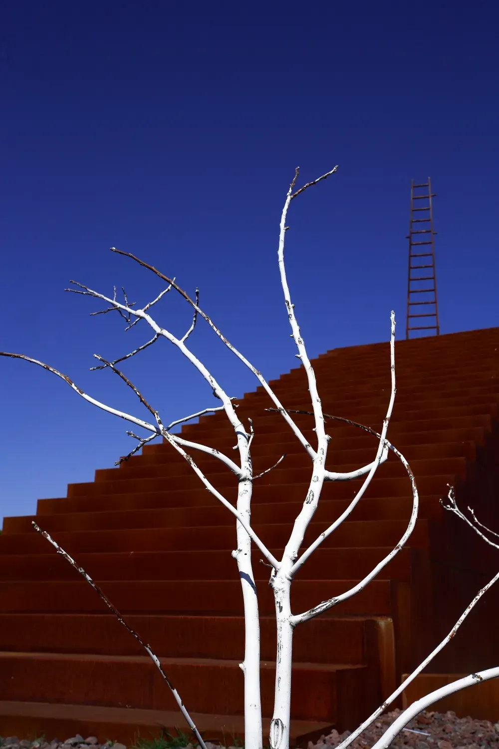 Ramas blancas frente a una escalera color óxido que asciende hacia un cielo azul despejado. Se ve una escalera en la cima.