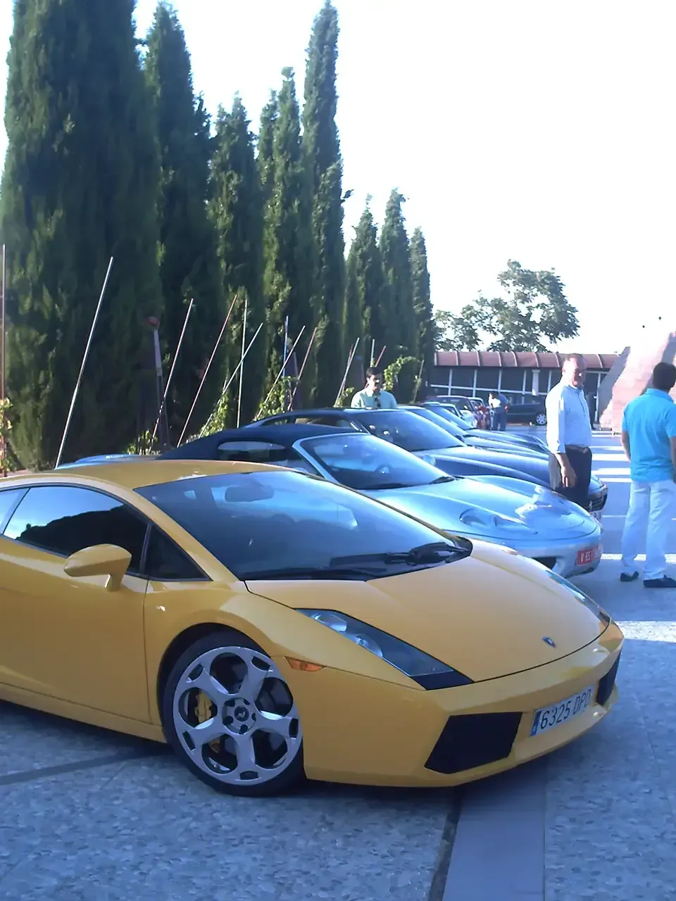 Lamborghini amarillos y otros coches deportivos estacionados afuera, cerca de árboles altos y gente.