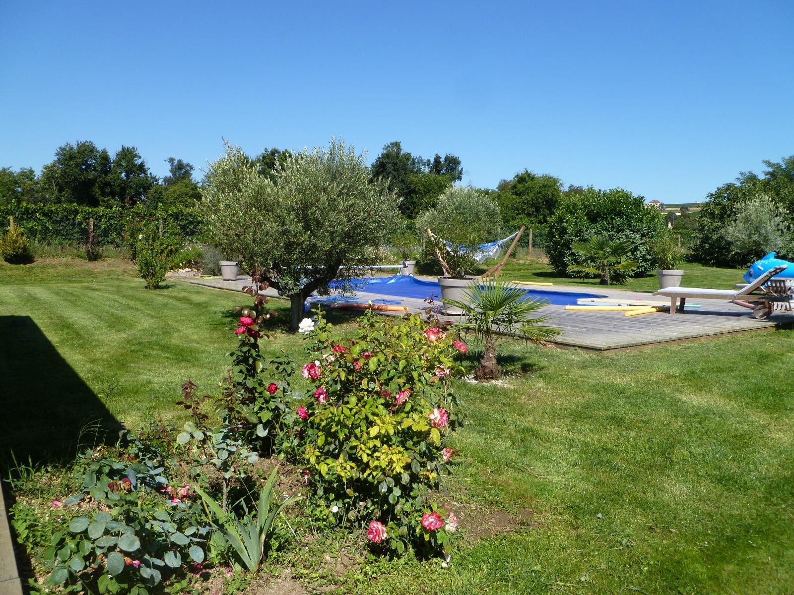 Aménagement paysager autour d'une piscine