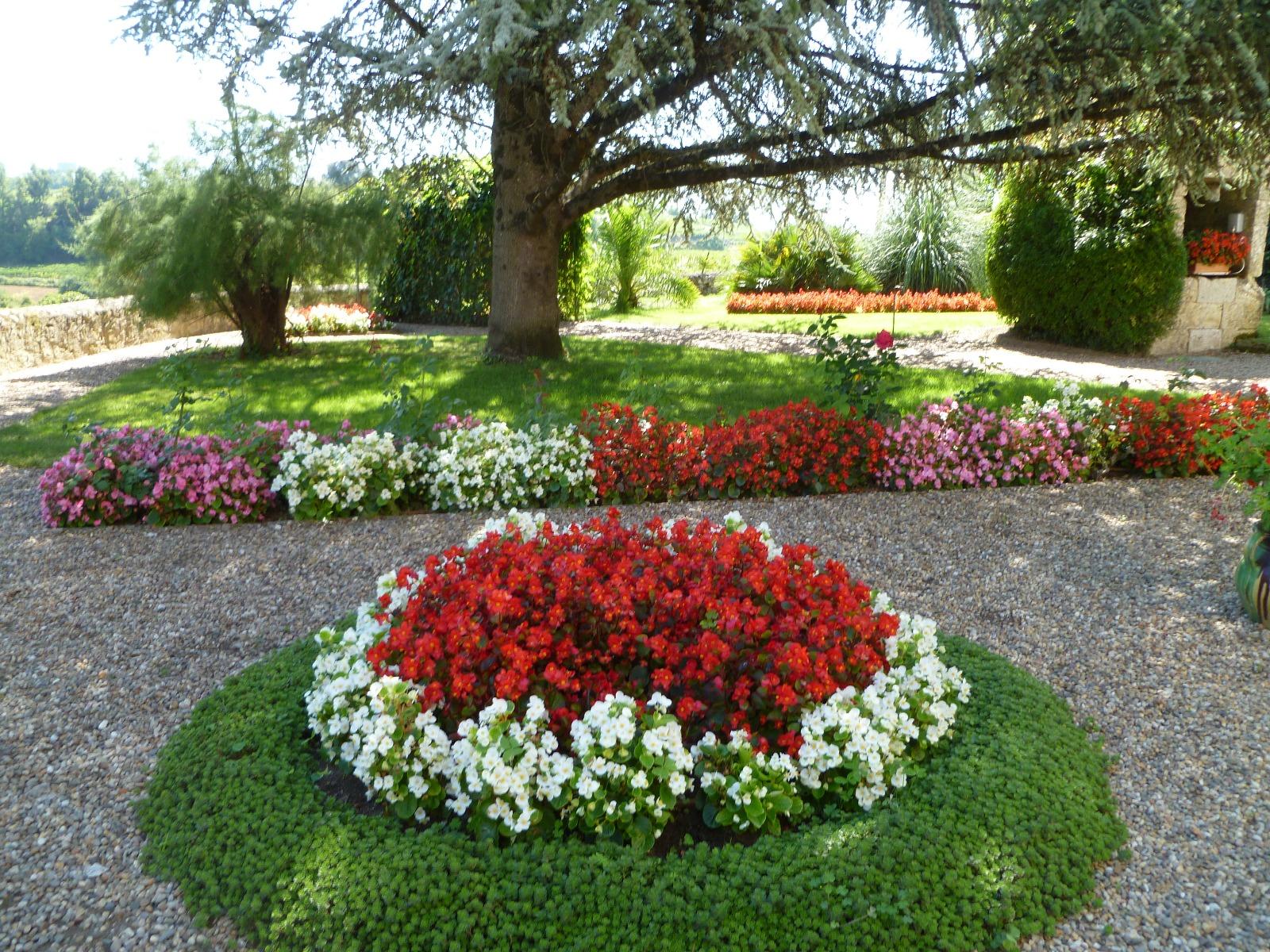 Bégonias rouges et blancs à Saint-Émilion