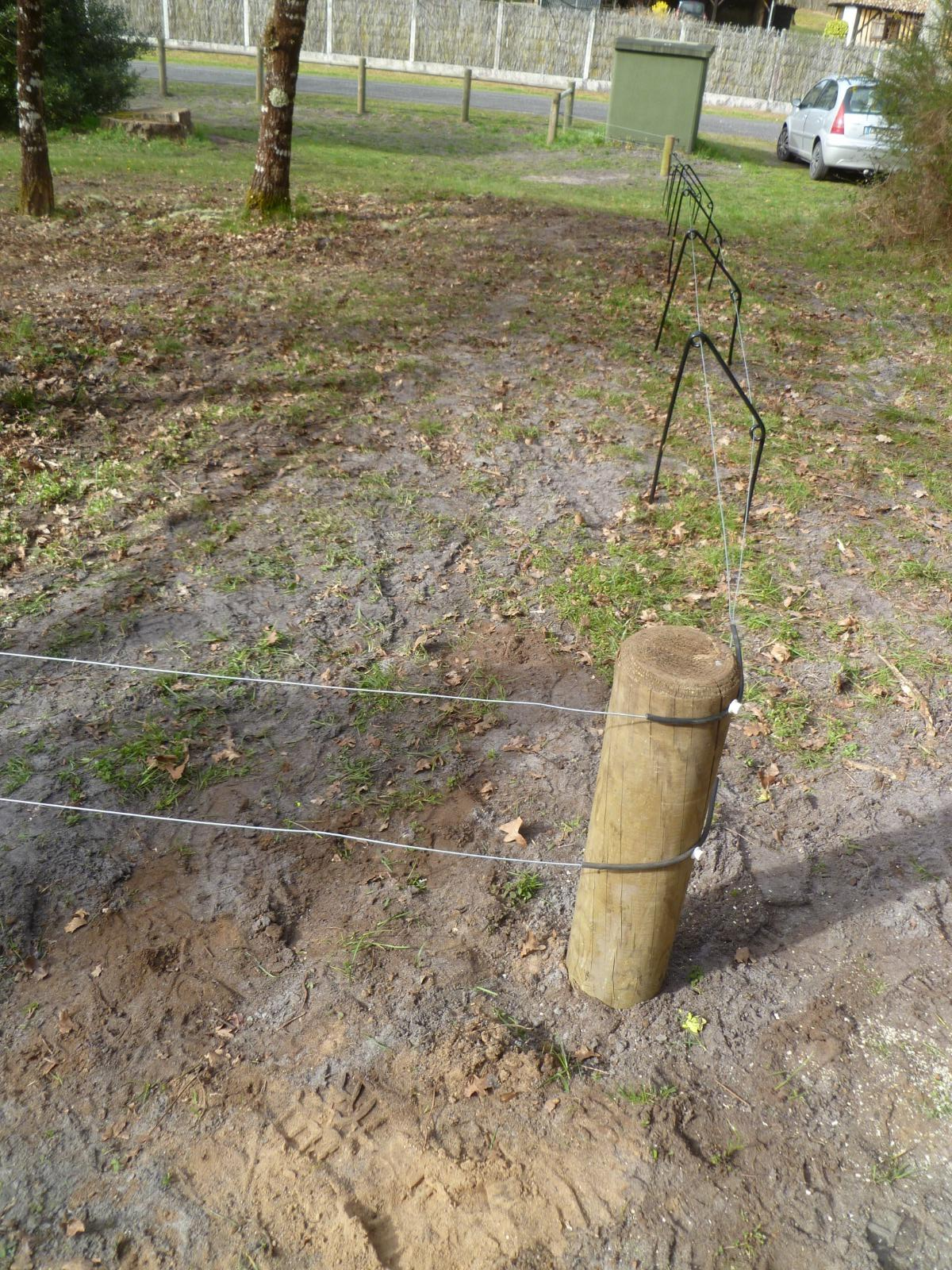 Clôture contre les sangliers