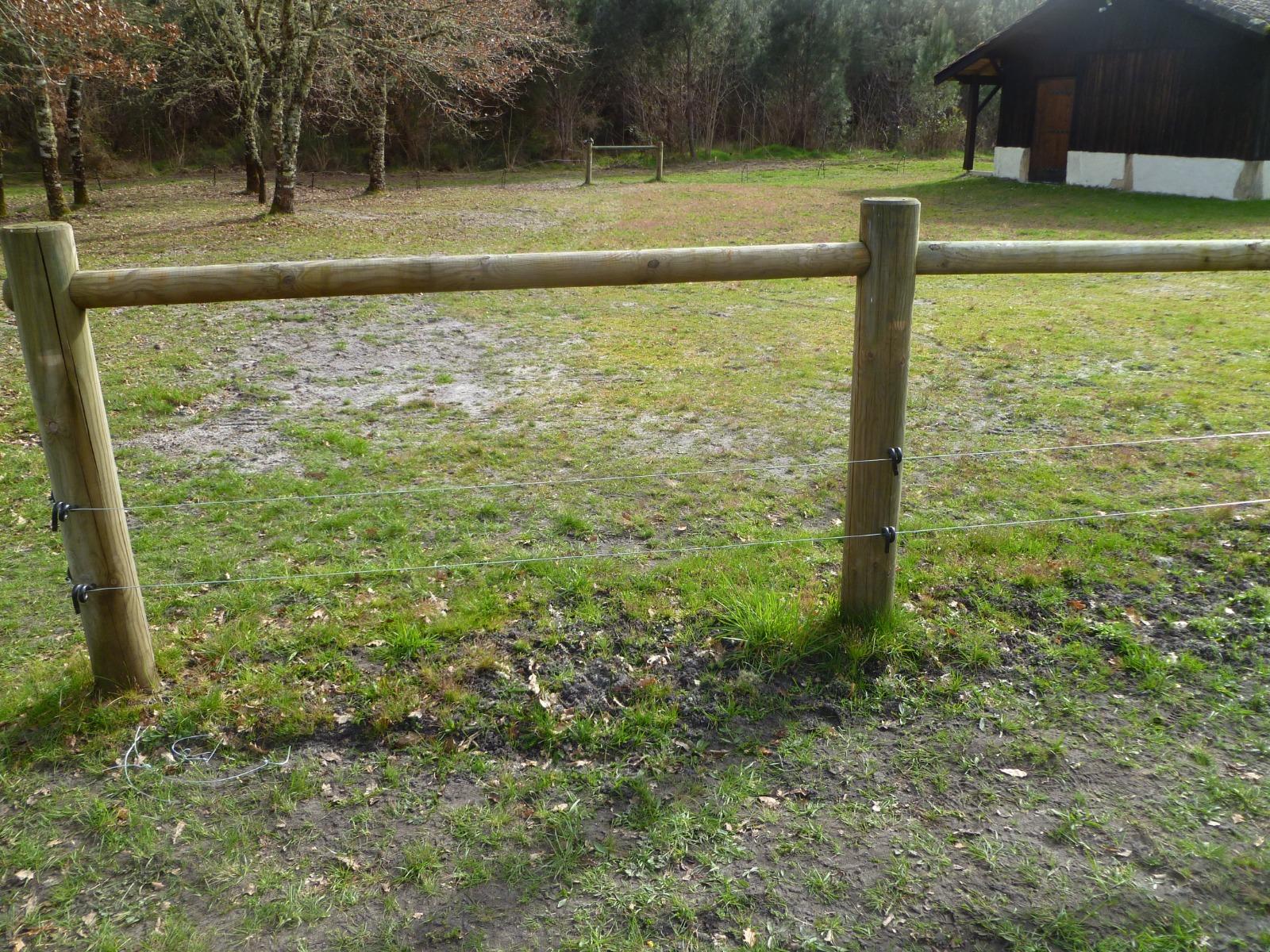 Clôture électrifiée pour les sangliers