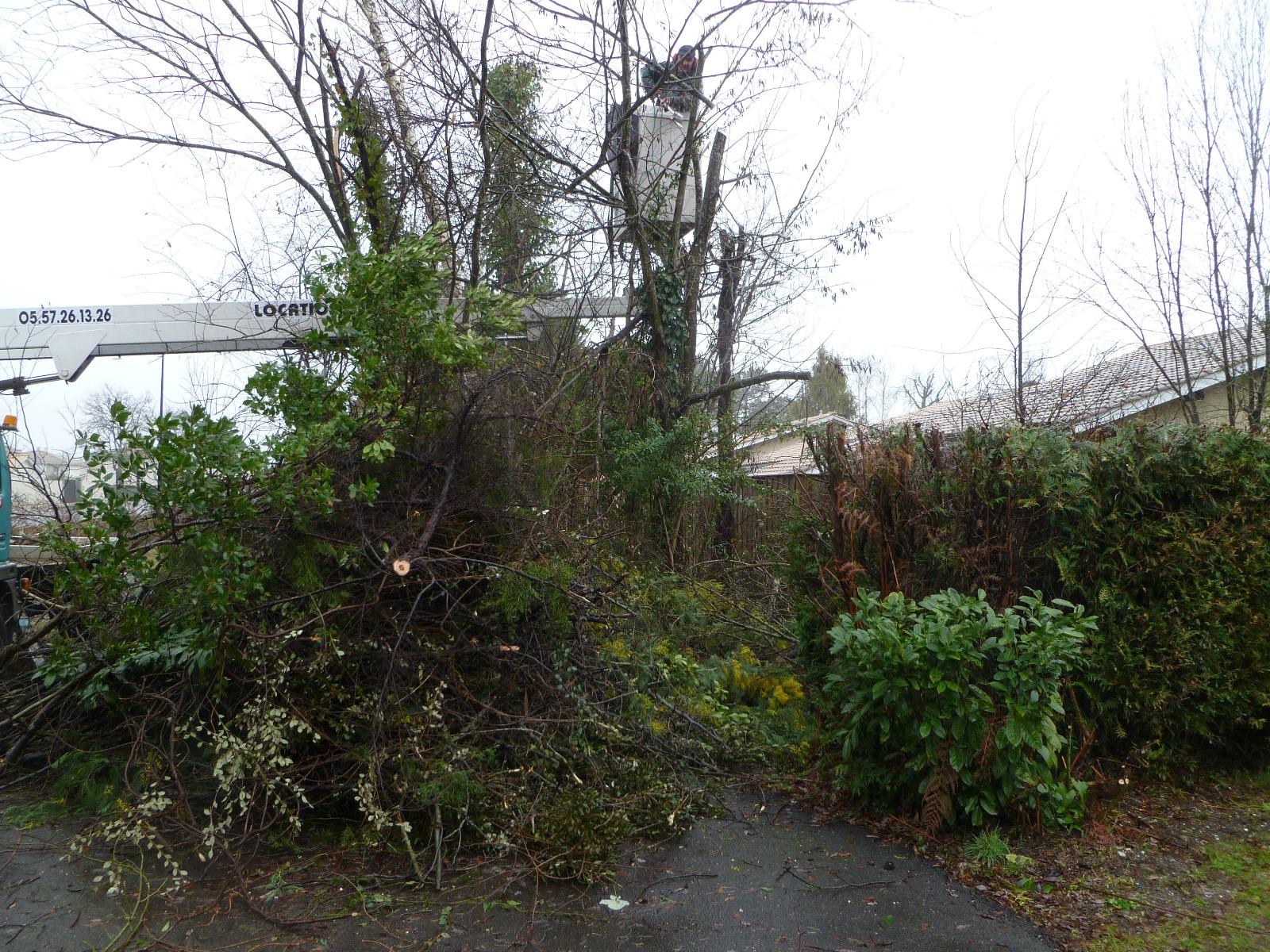 Élagage à la nacelle