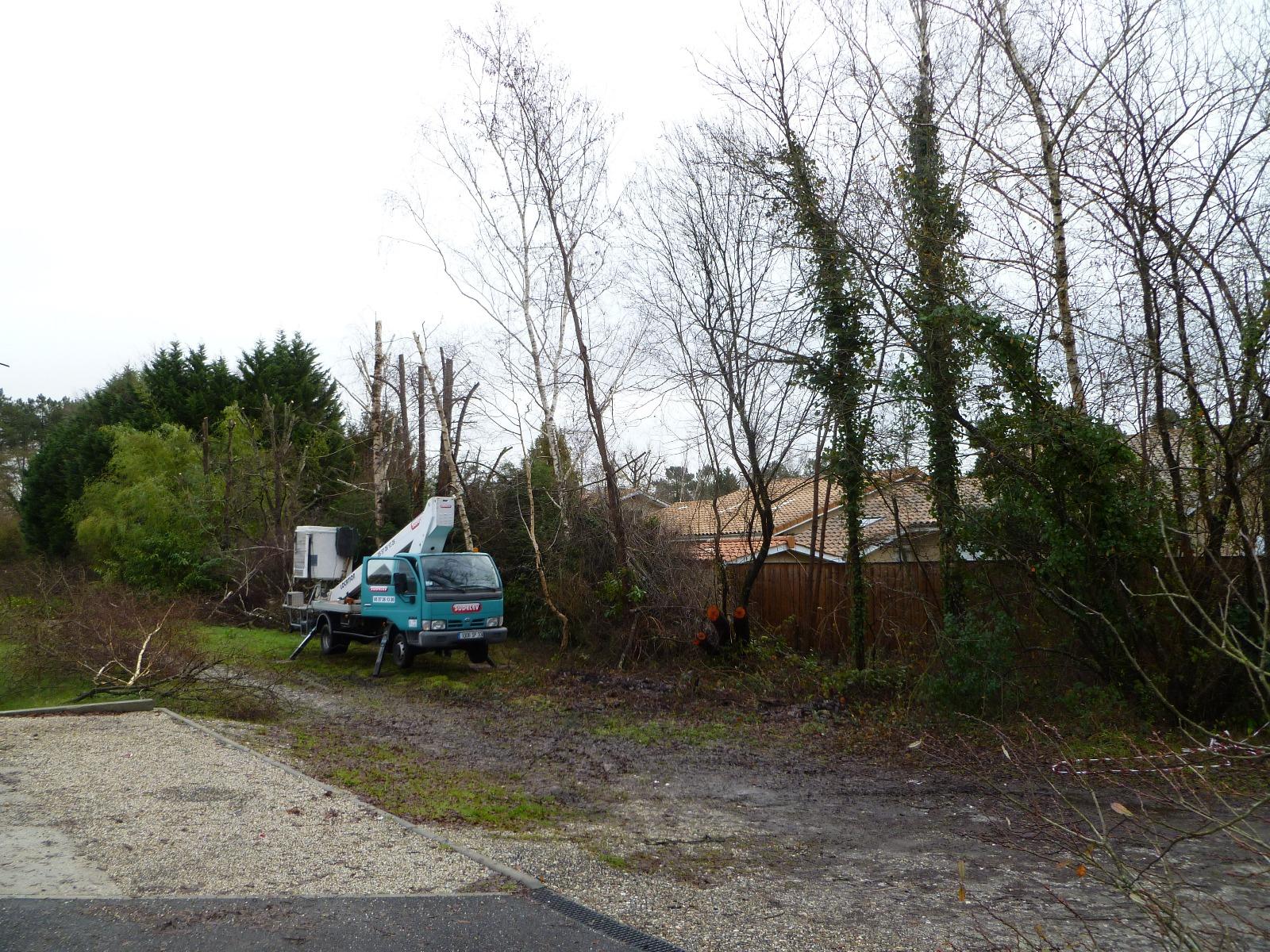 Élagage avec nacelle