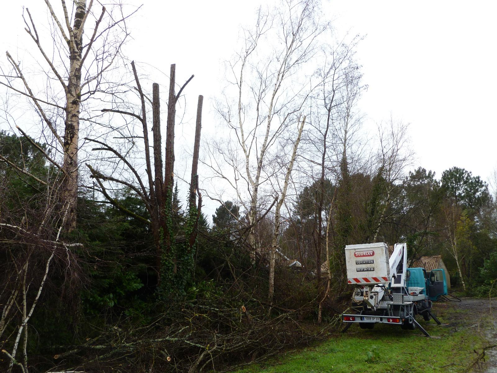 Élagage à la nacelle