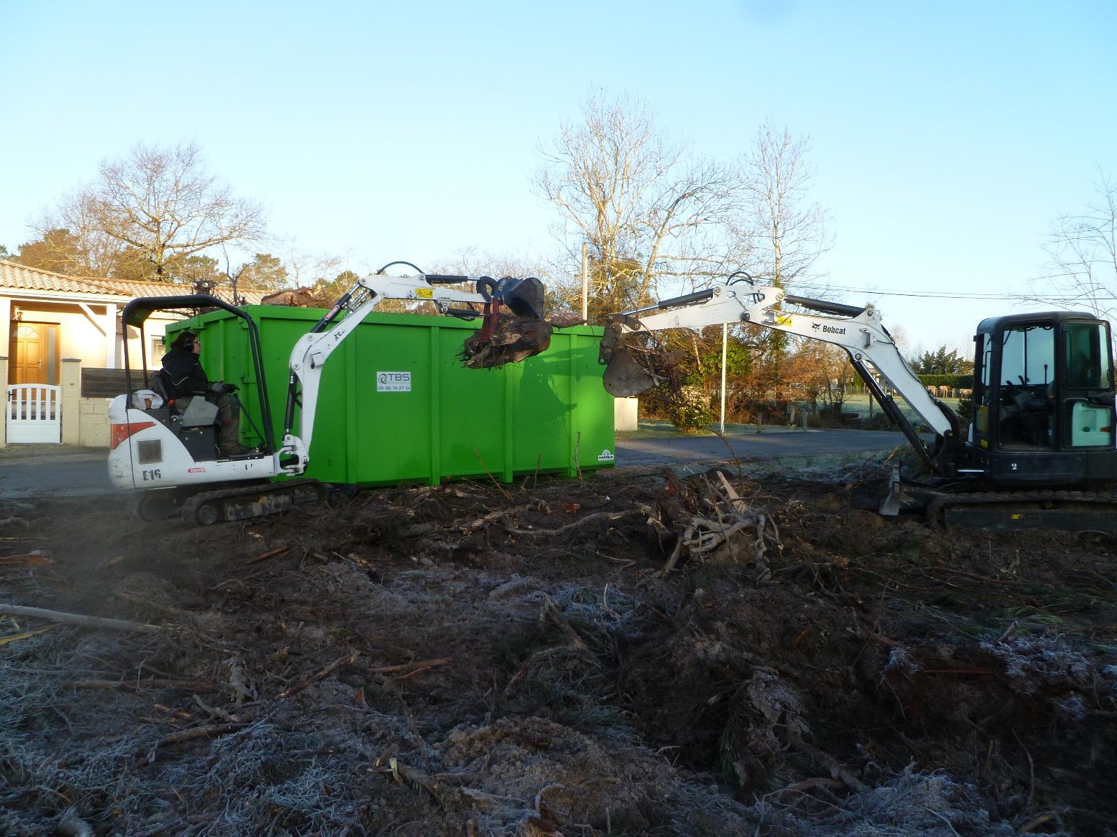 Évacuation de souches