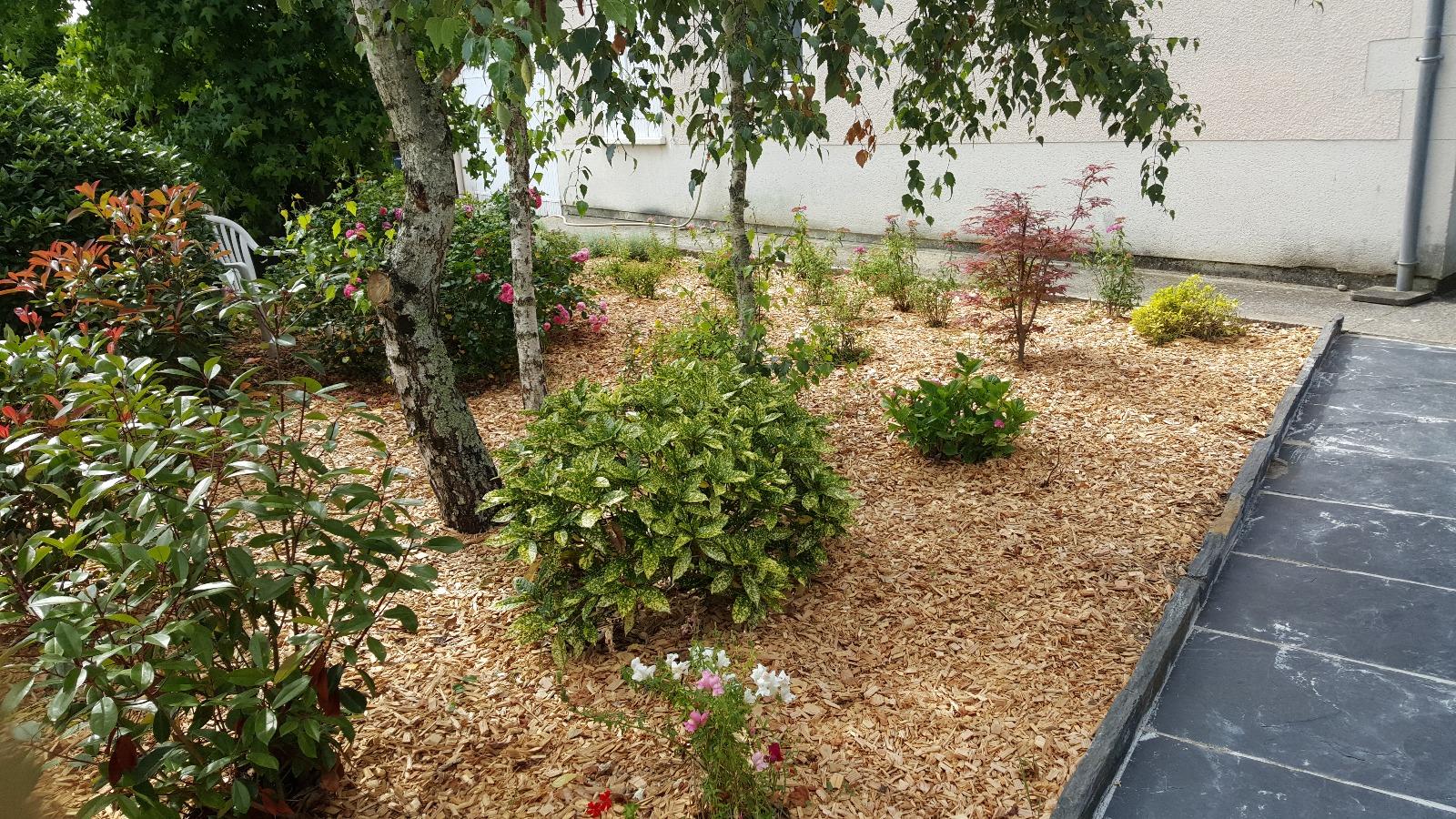 Massif à Blanquefort