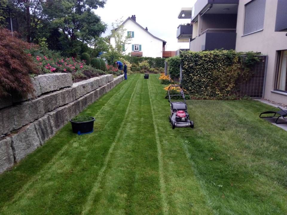 Hinterhof mit frisch gemähtem Rasen, einem Handrasenmäher und einer Person, die die Hecke schneidet.