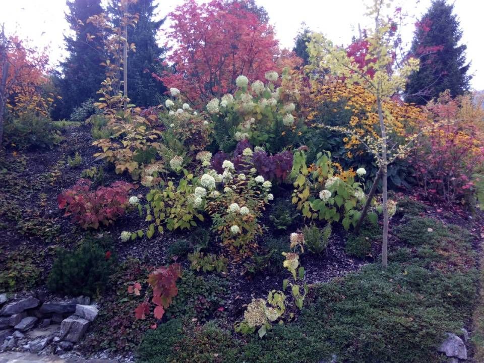 Herbstgarten mit farbenfrohen Sträuchern, Bäumen und einem kleinen, mit Steinen eingefassten Hang