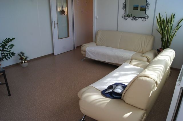 Ein Wohnzimmer mit einer Couch und einer Pflanze