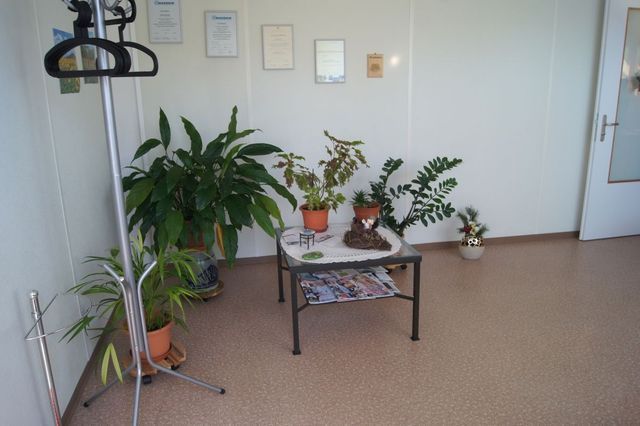 Ein Wartezimmer mit einem Tisch und Topfpflanzen