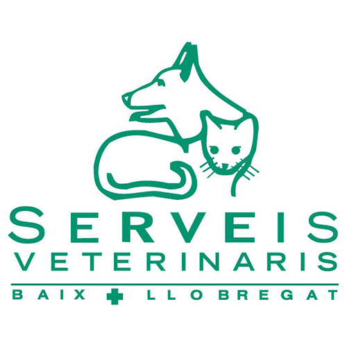 logotipo cabecera