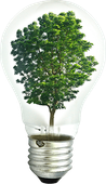 Icon Baum