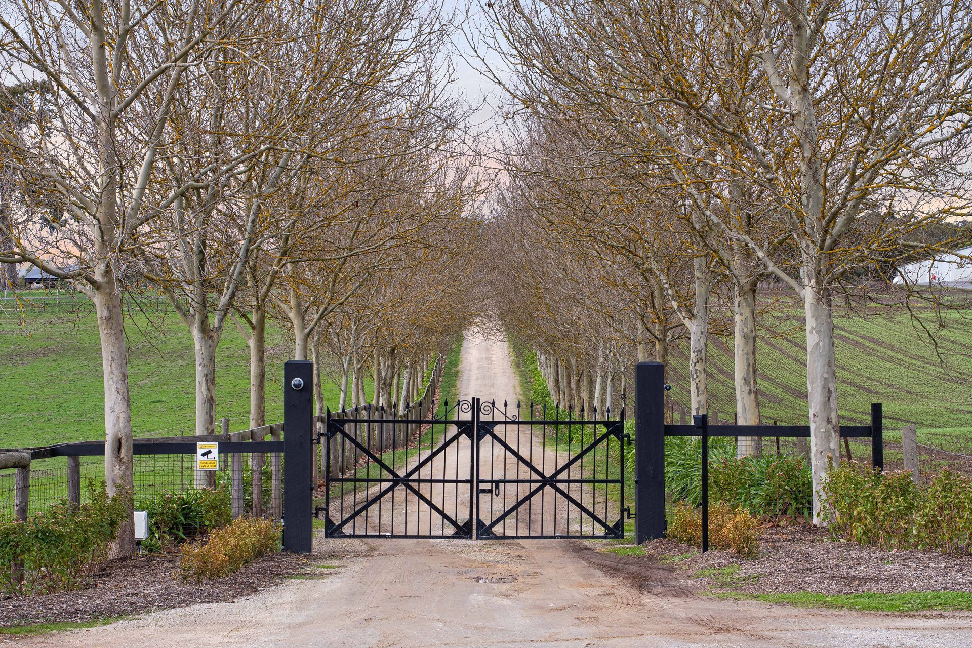 Black gates open to a gravel road lined with trees.