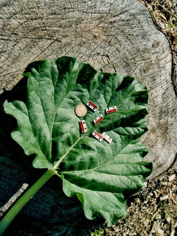 Hofmann PU-Elastomere AG - Boswil