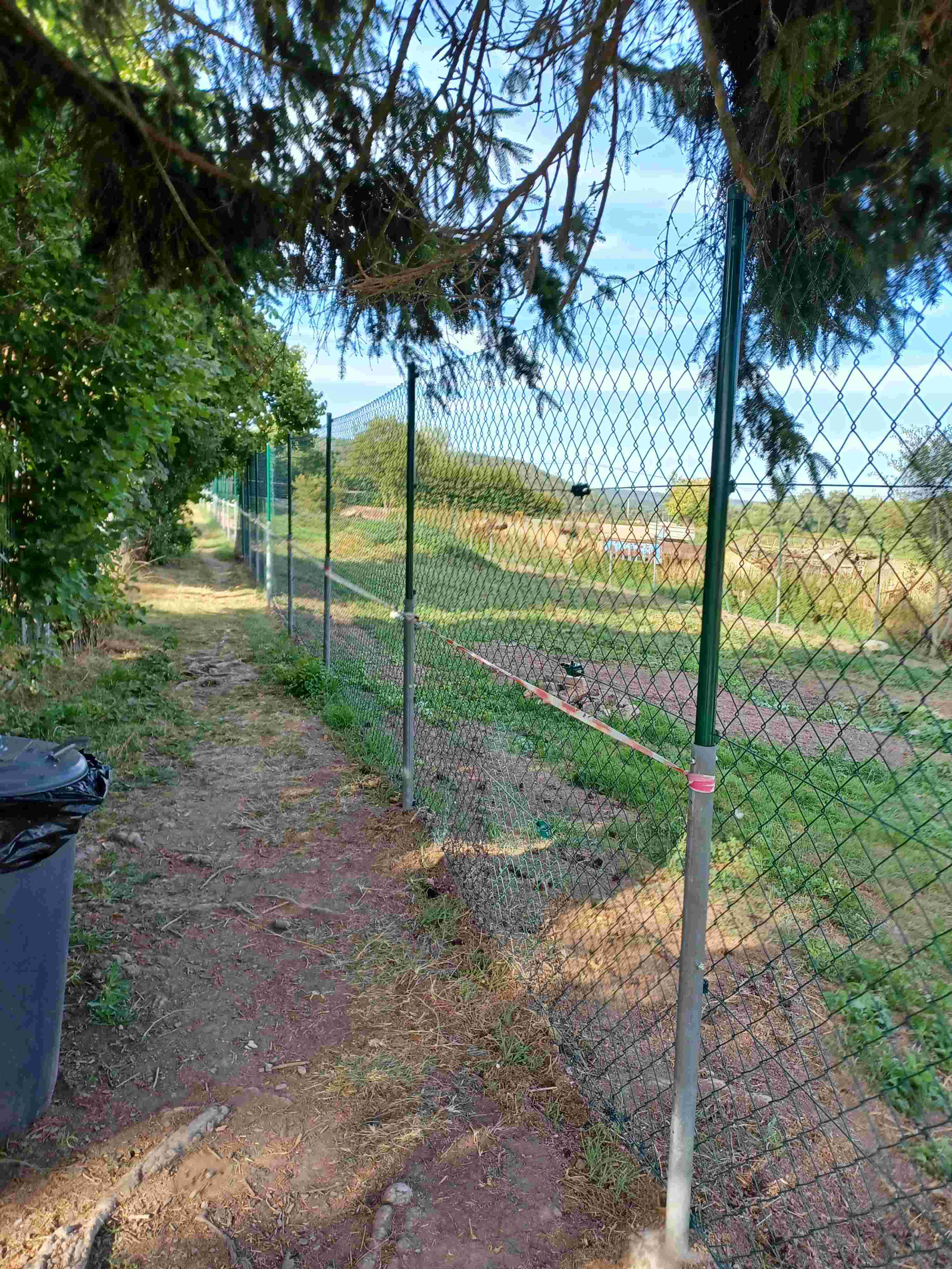 Ein unbefestigter Pfad verläuft entlang eines Maschendrahtzauns und führt zu einer Wiese. Äste ragen über den Pfad.