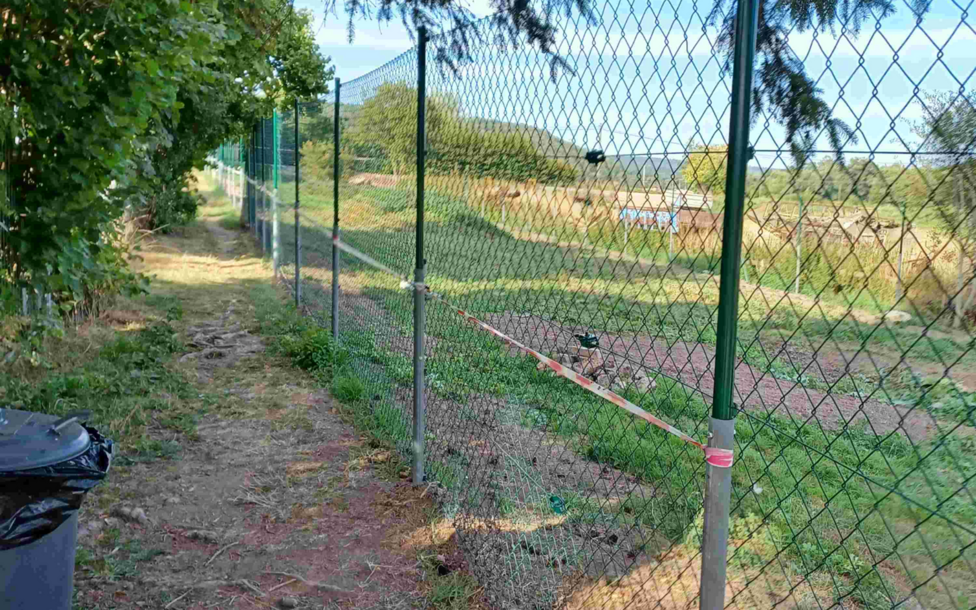 Maschendrahtzaun neben einem unbefestigten Weg und Laubwerk, mit grünen Pfosten und Netz.