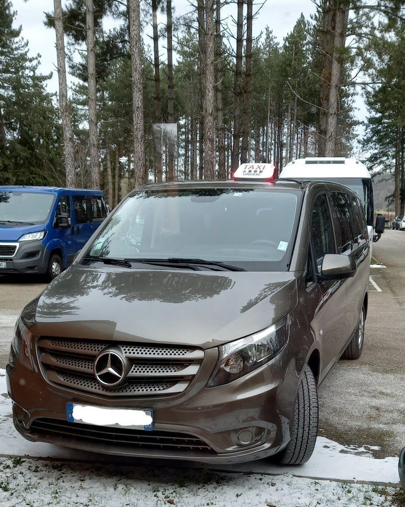 Taxi de 9 places