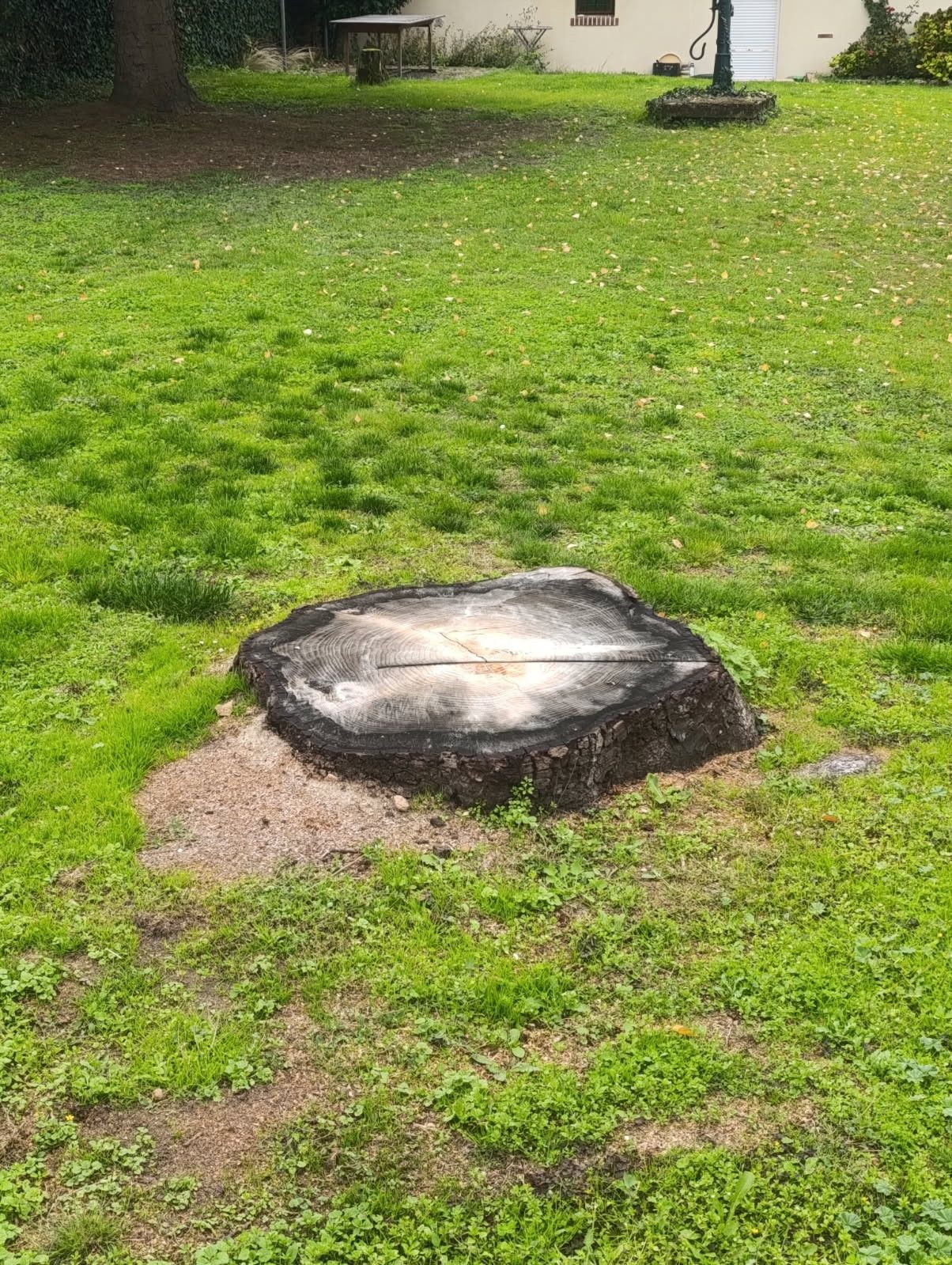 Un homme qui défriche