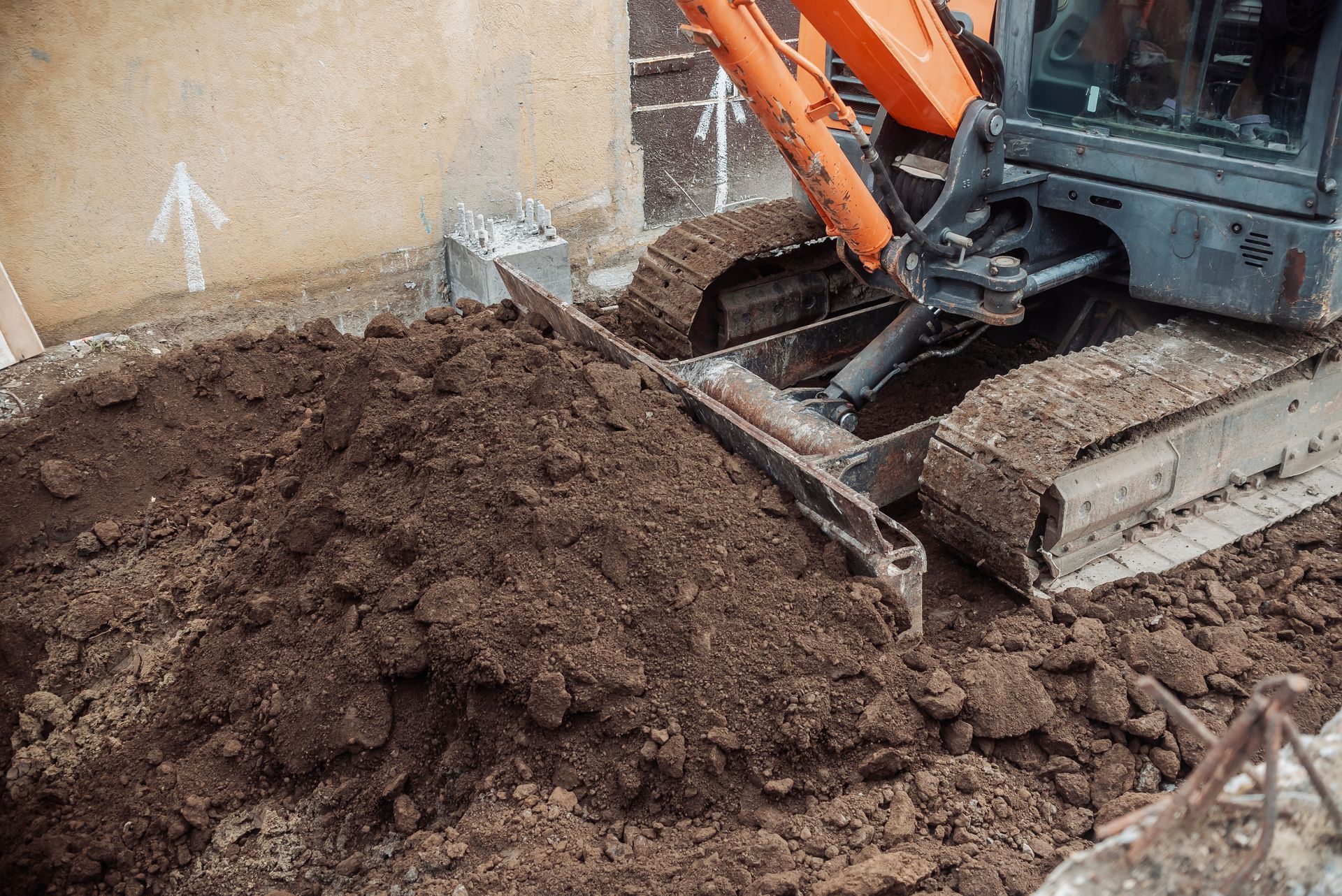 Nettoyage de terrain