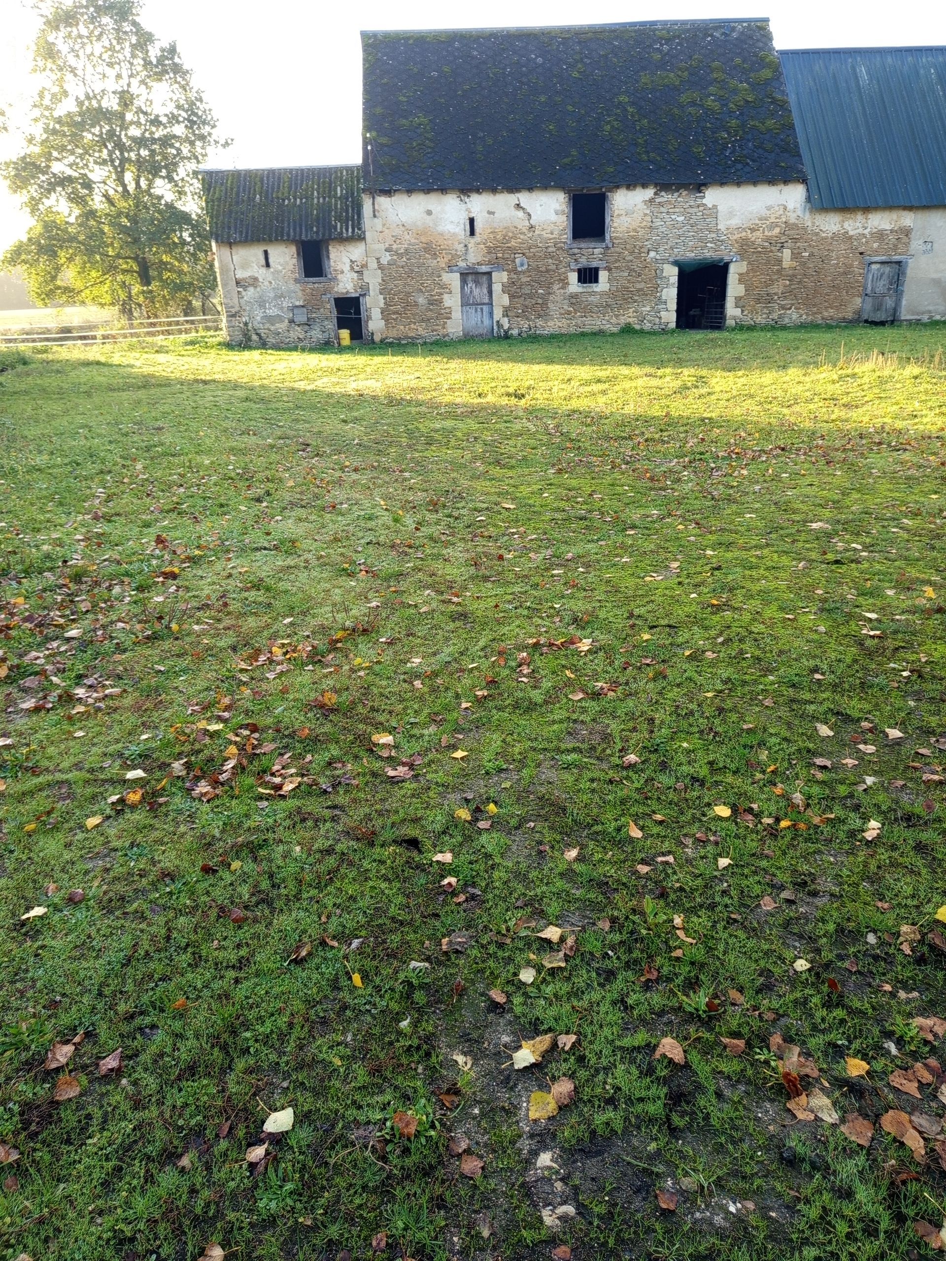 Création d'un chemin