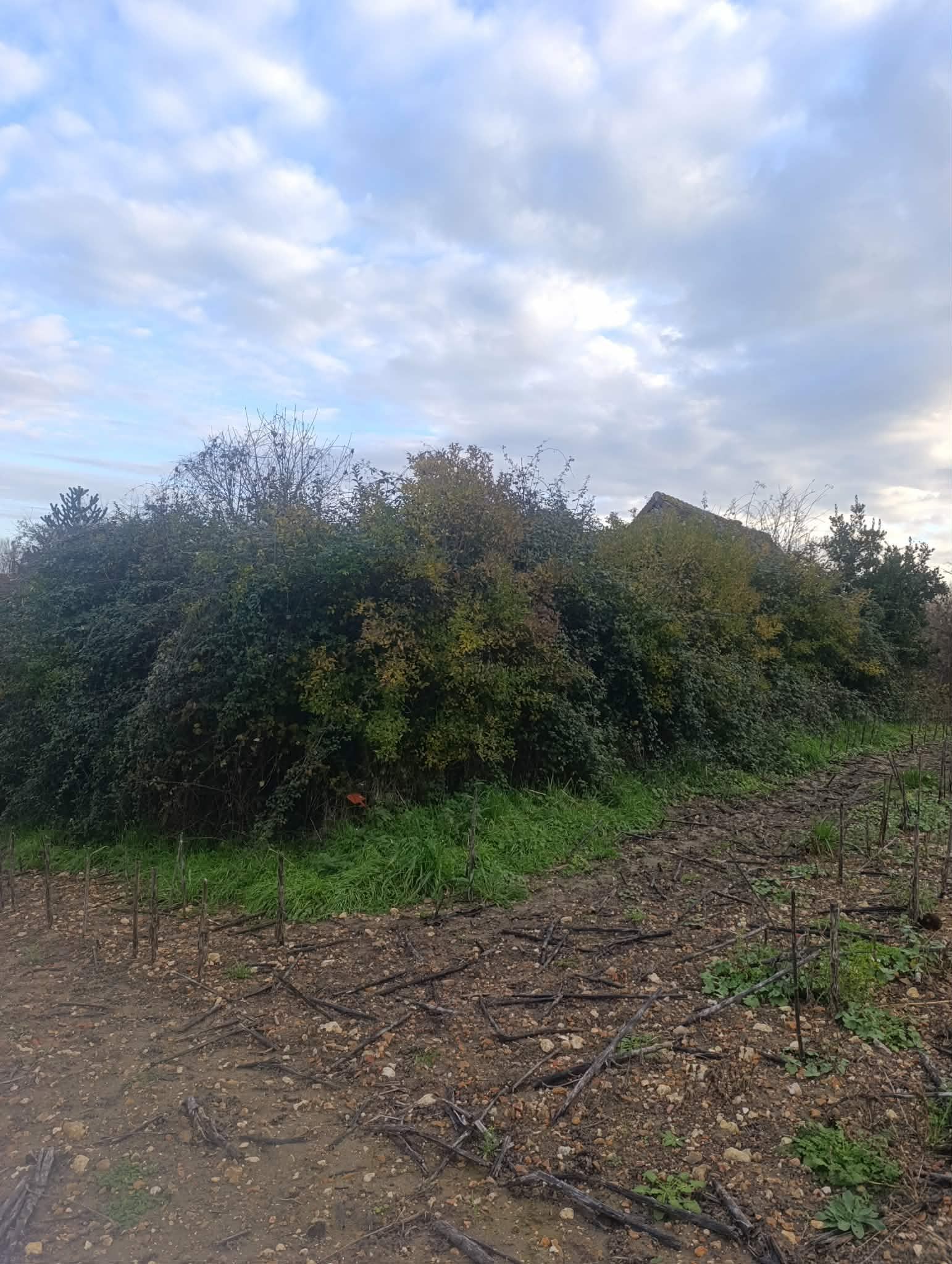 Des débris dans une benne